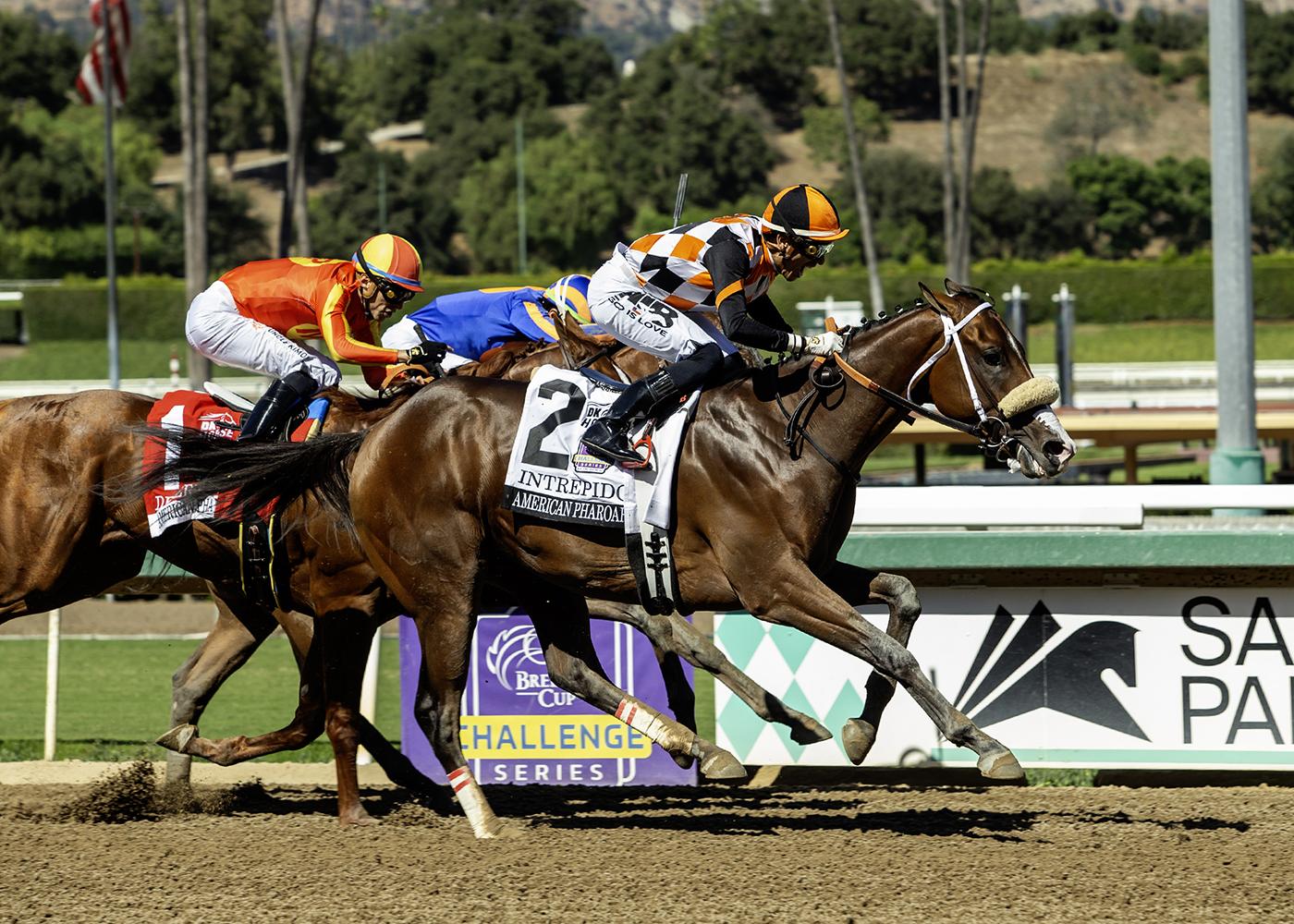 Santa Anita, 2025 American Pharoah Stakes, Intrepido, Breeders Cup Juvenile Win and Youre In Santa Anita, 2025 American Pharoah Stakes, Intrepido, Breeders Cup Juvenile Win and Youre In